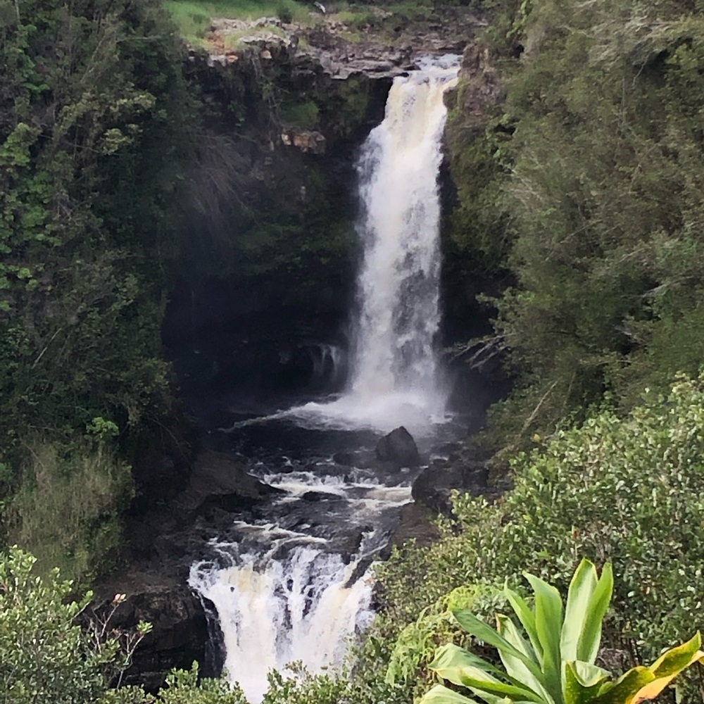 Meet your Posher, Nai-Shi G. - Picture 5 of 16